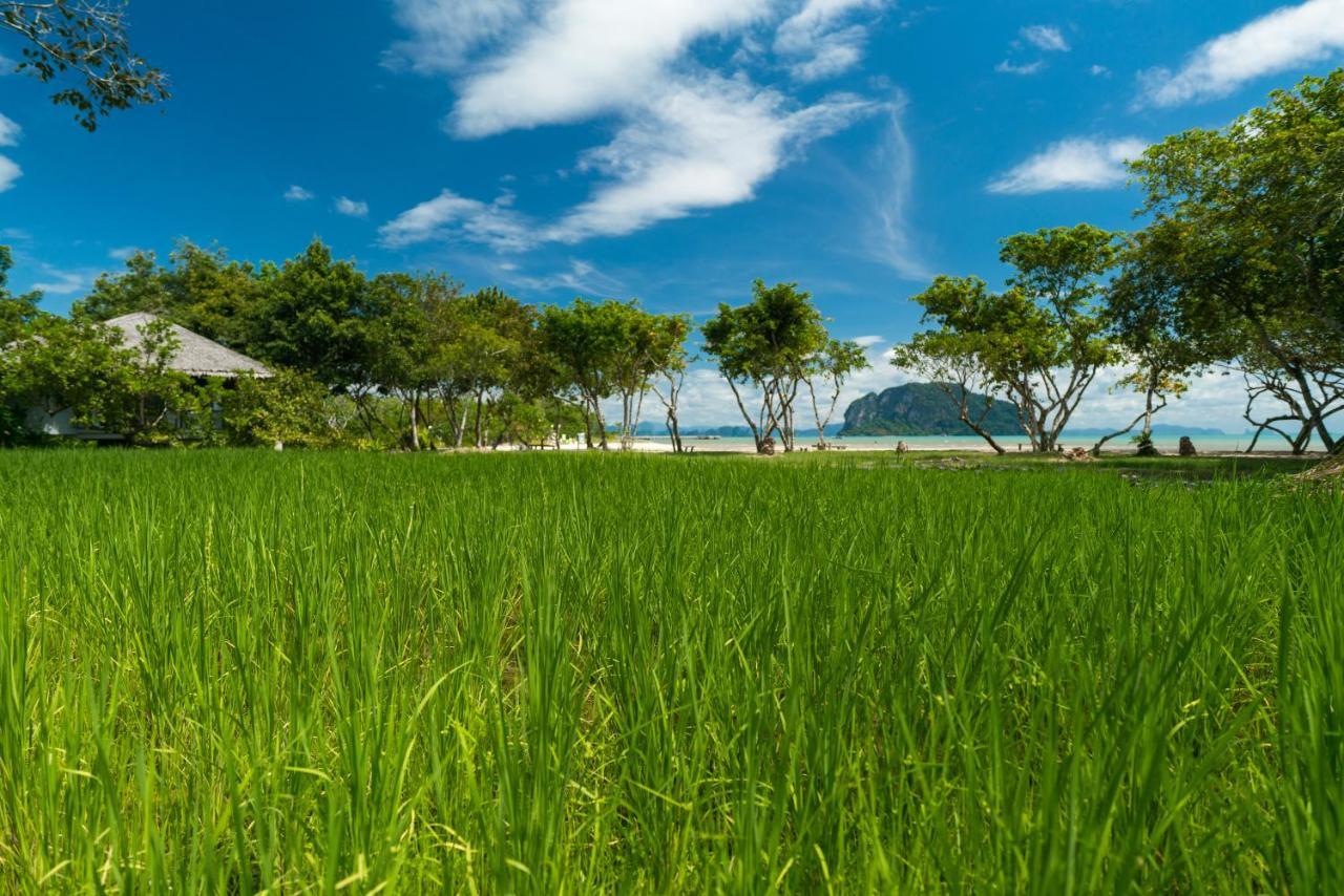 Koh Yao Yai Village Phang Nga Εξωτερικό φωτογραφία